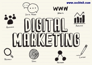 Best digital business marketing solutions in Chandigarh | Mo